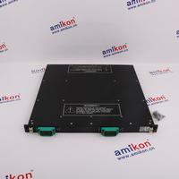 TRICONEX 3501T Distributed Control System (DCS)  | sales2@amikon.cn 